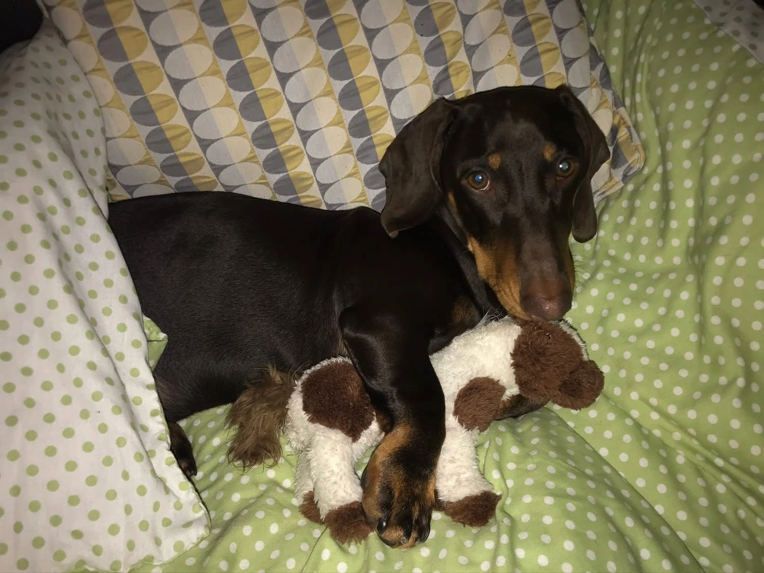 Winston