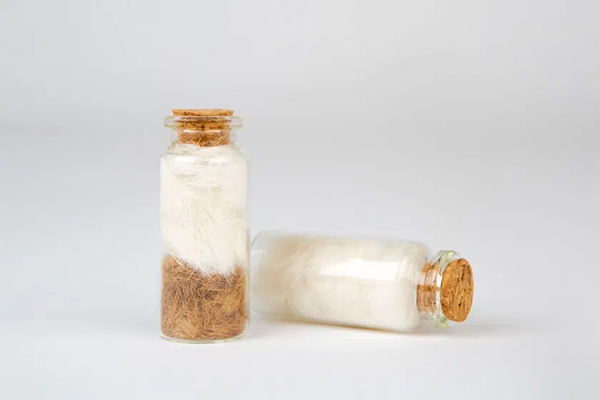 pet cremations gallery img 1